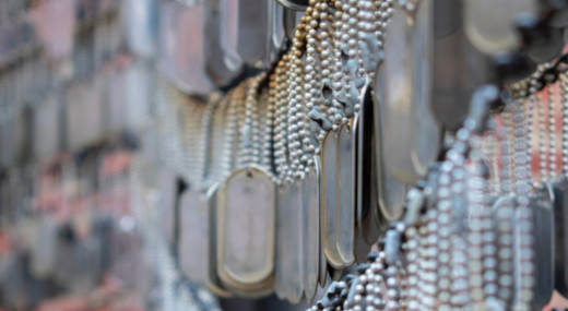 displayed dog tags lots